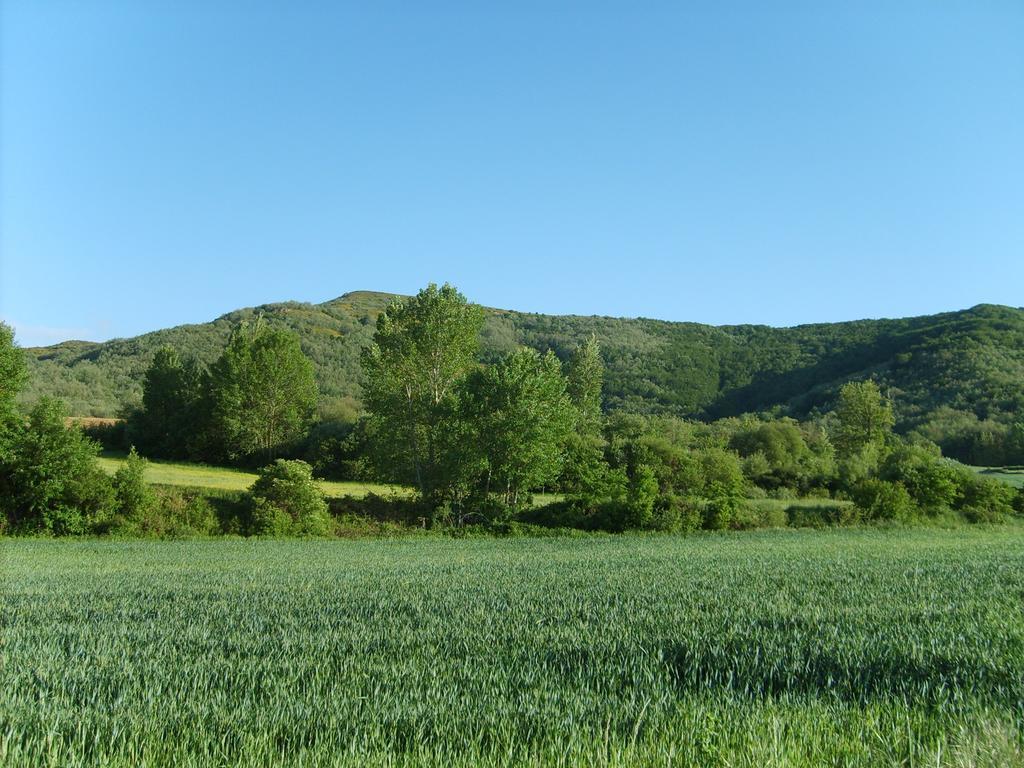 El Valle Perdido Casas Rurales Revelillas エクステリア 写真